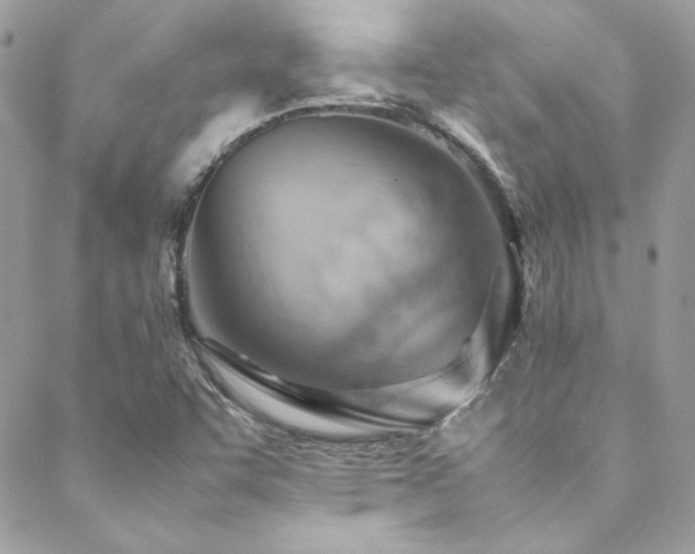 X0000089371455200706151147