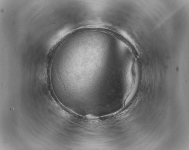 X0000089371456200706151146