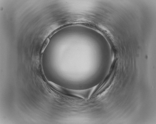 X0000089371457200706151146