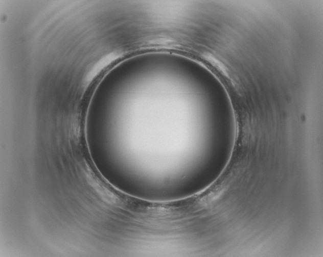 X0000089371458200706151146
