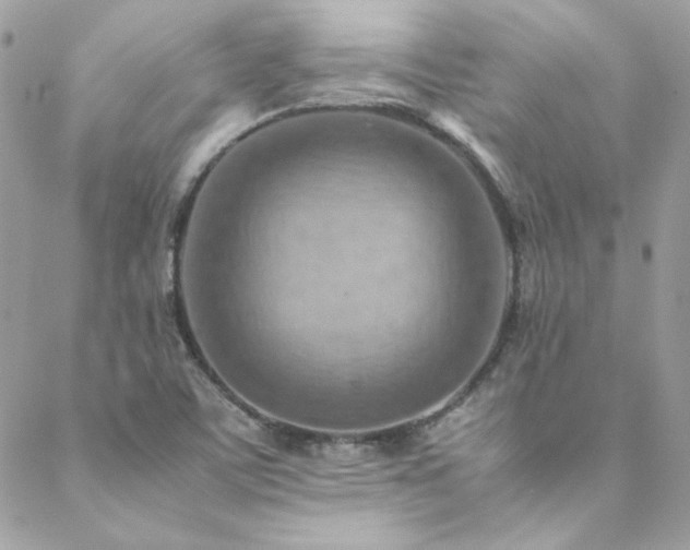 X0000089371459200706151146