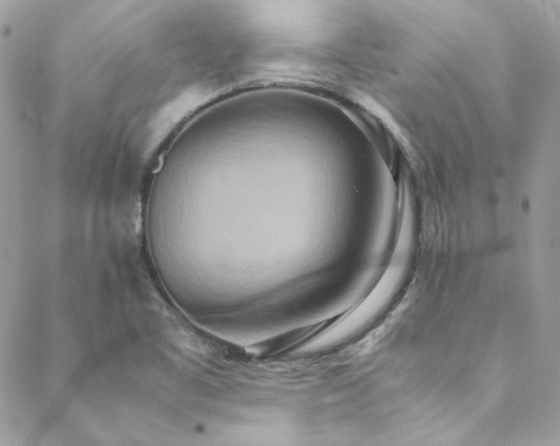 X0000089371461200706151146