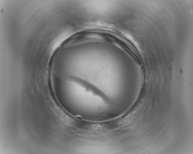 X0000089371463200706151146