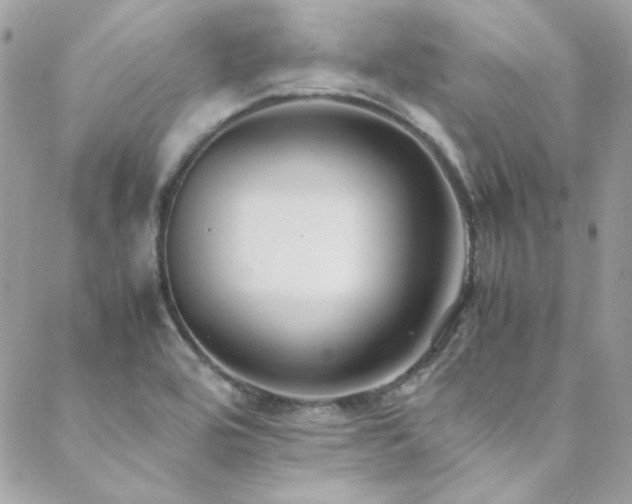 X0000089371464200706151146