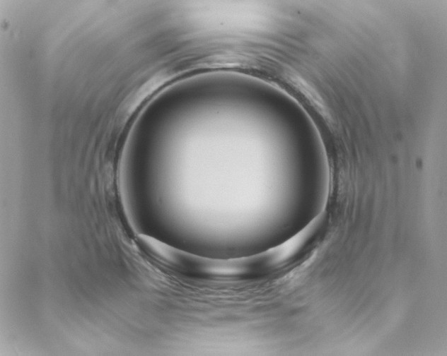 X0000089371465200706151146