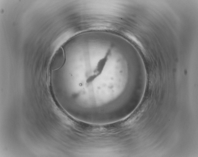 X0000089371467200706151146