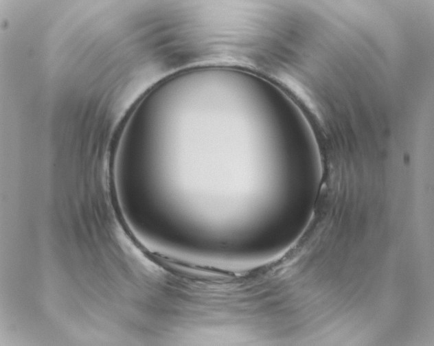 X0000089371468200706151146