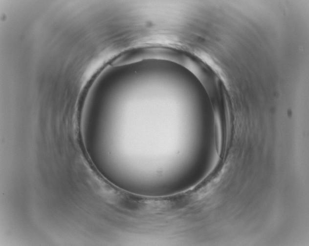X0000089371469200706151146