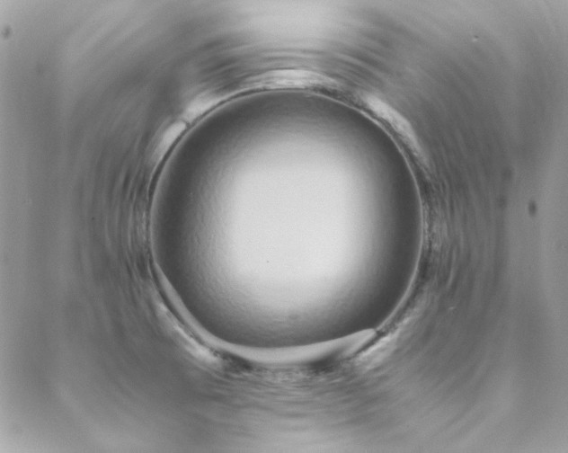 X0000089371473200706151146