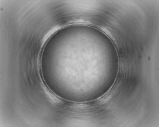 X0000089371474200706151146