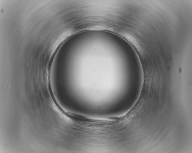 X0000089371476200706151146