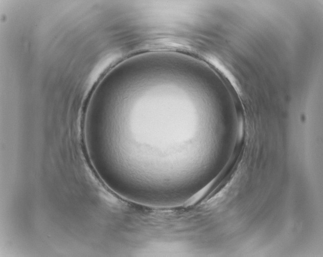 X0000089371477200706151146