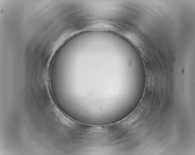 X0000089371478200706151146