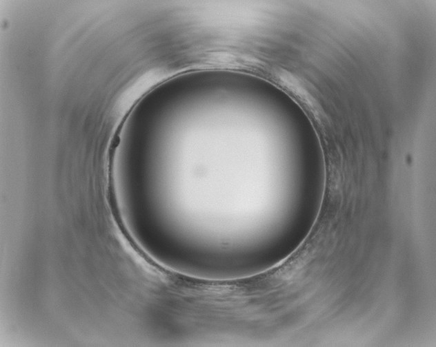 X0000089371479200706151146