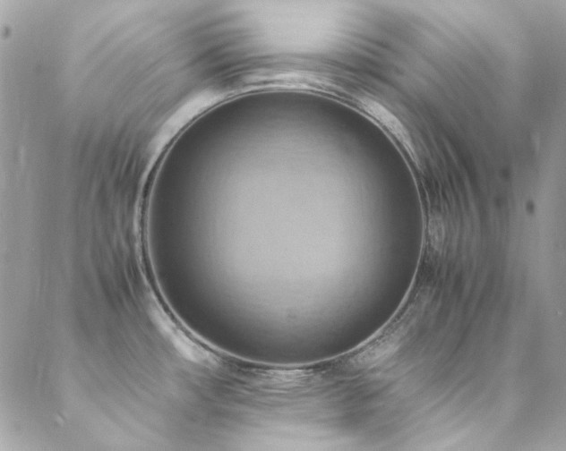 X0000089371482200706151146