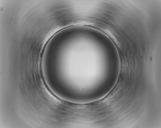 X0000089371484200706151146
