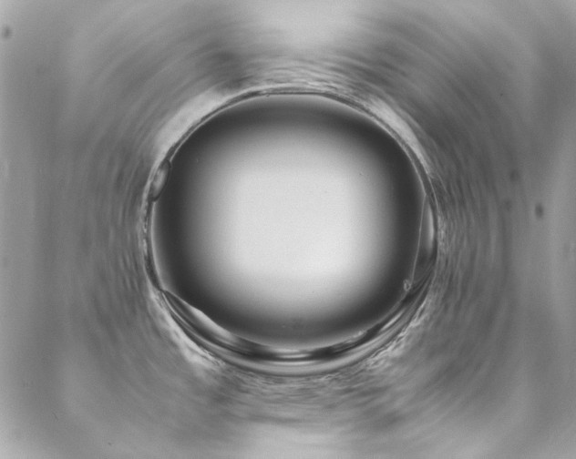 X0000089371485200706151146