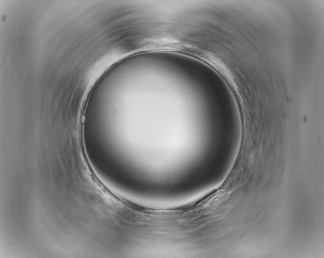 X0000089371488200706151146