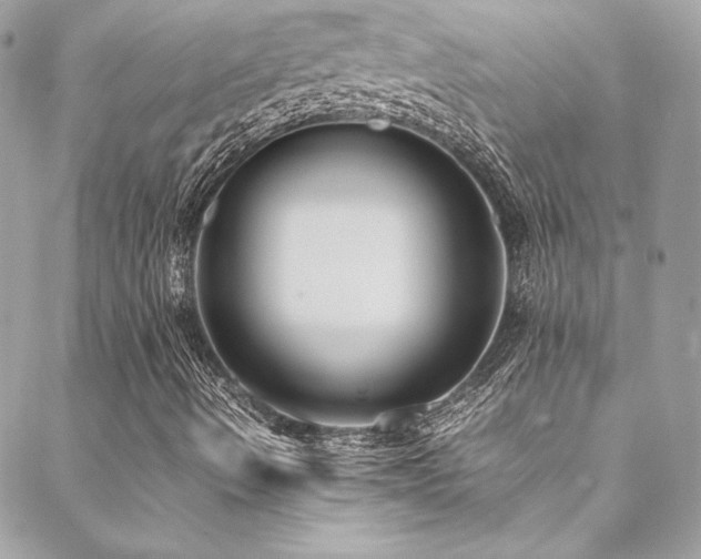 X0000089371490200706151145