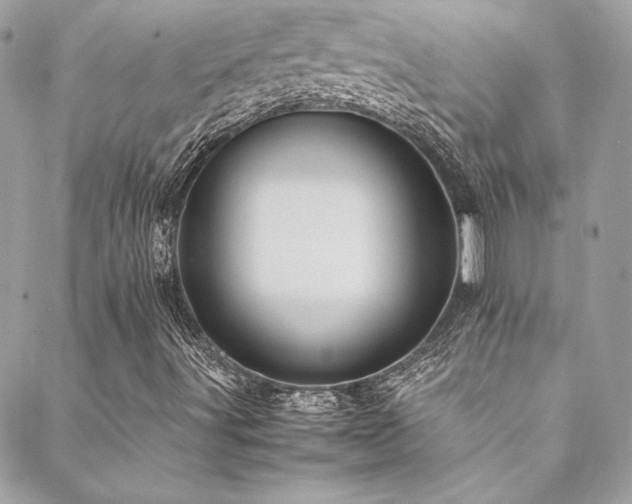 X0000089371491200706151145