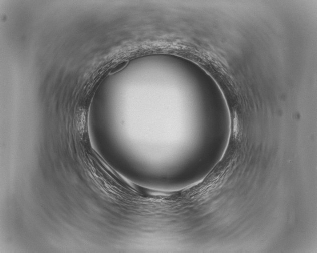X0000089371492200706151145