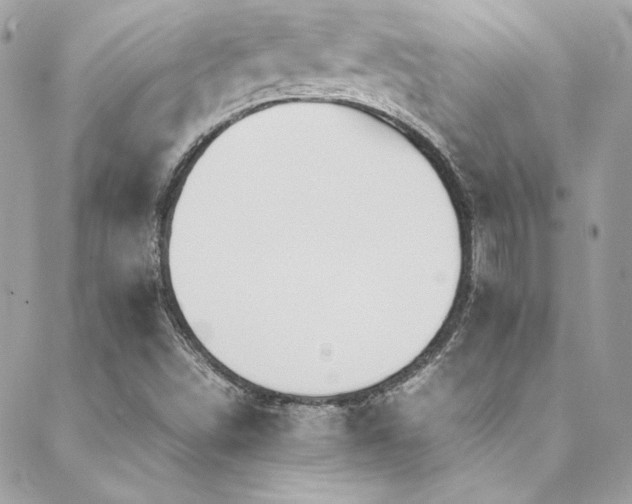 X0000089371498200706151145