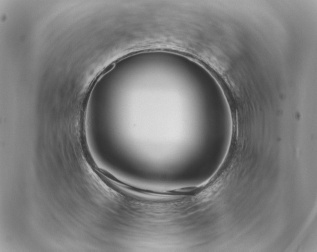 X0000089371500200706151145