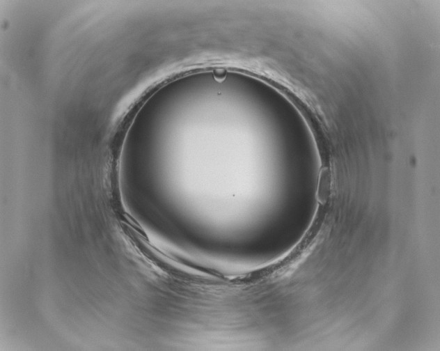 X0000089371502200706151145
