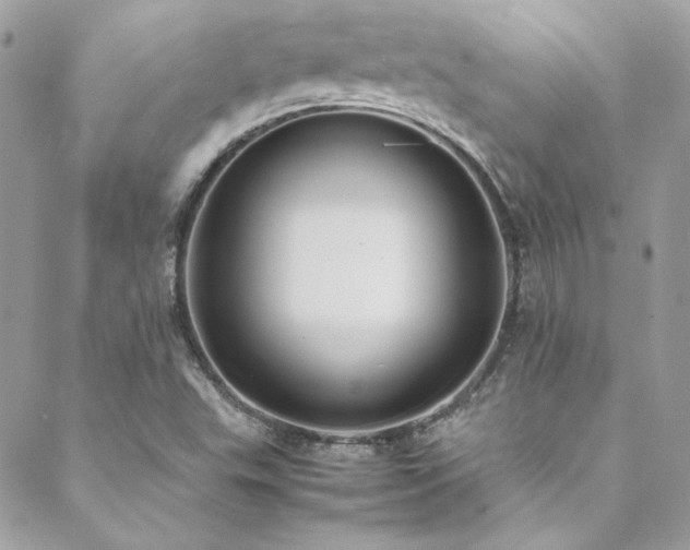 X0000089371503200706151145