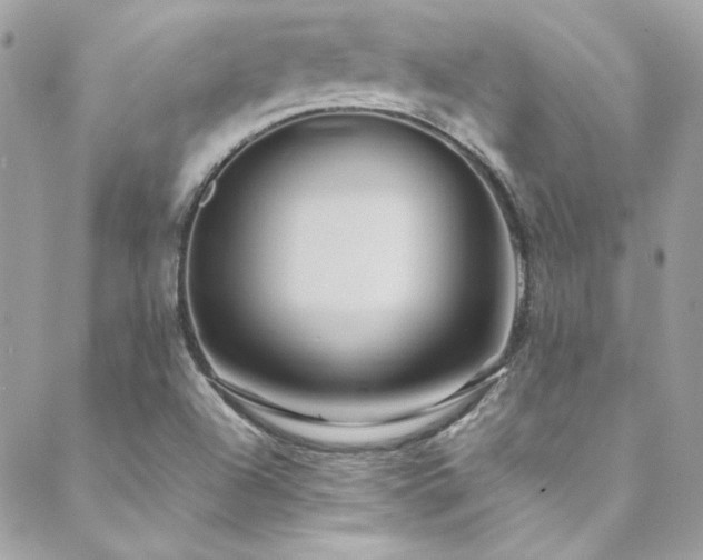 X0000089371504200706151145