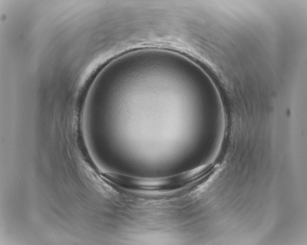X0000089371506200706151145
