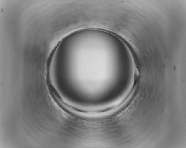 X0000089371508200706151146