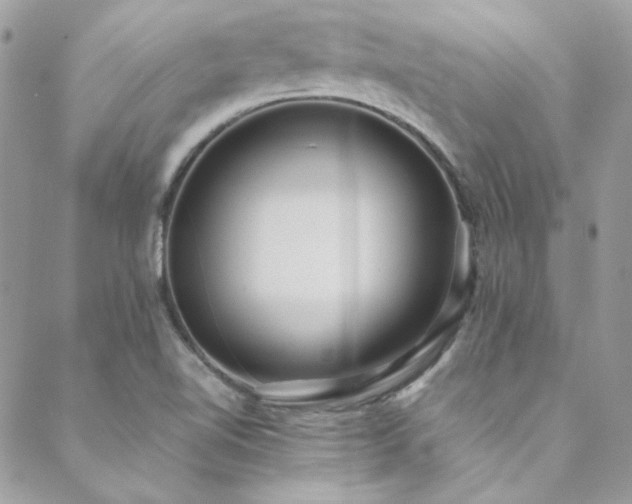X0000089371510200706151146