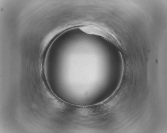 X0000089371511200706151146