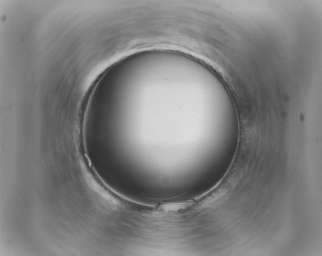 X0000089371518200706151146