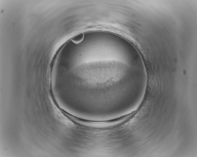 X0000089371522200706151146