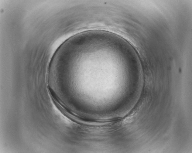 X0000089371527200706151146