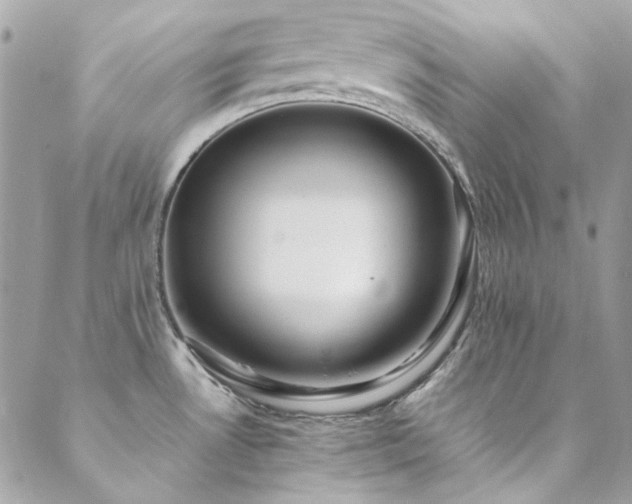 X0000089371530200706151146