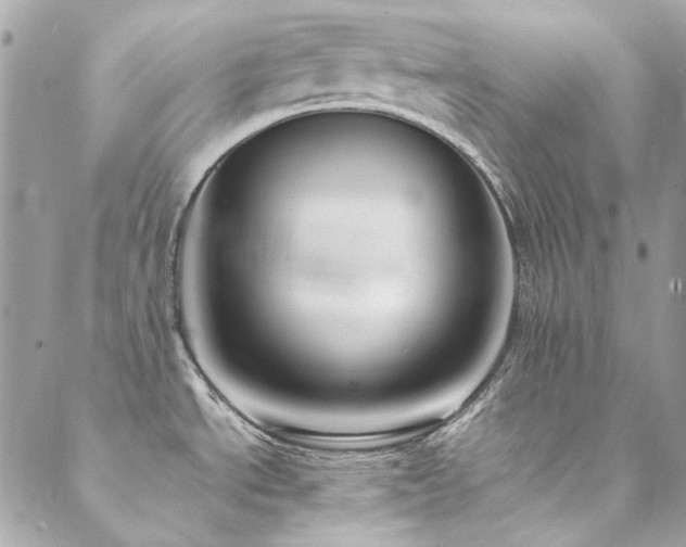 X0000089371534200706151146