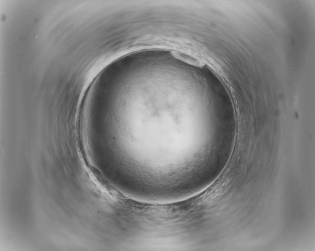 X0000089371536200706151146