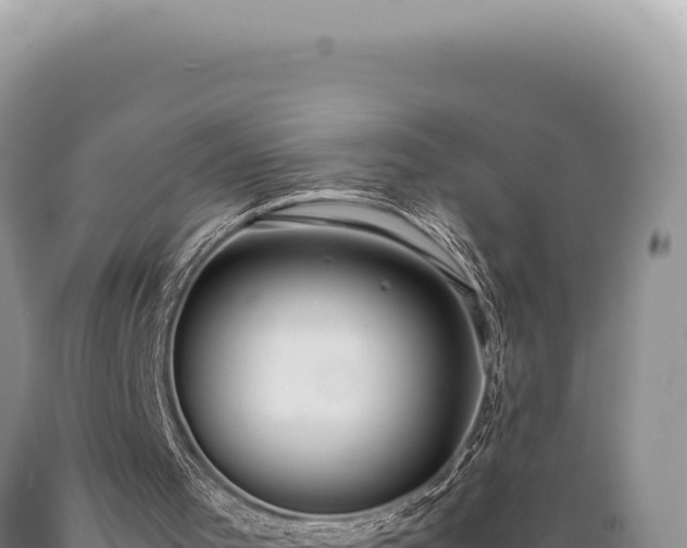 X0000089370001200706221231