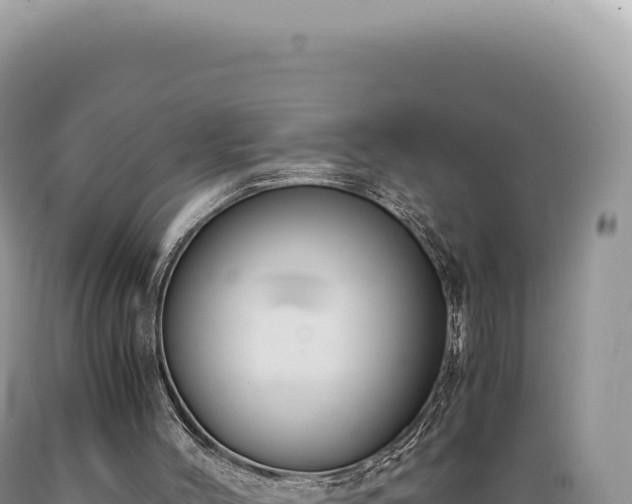 X0000089370004200706221231