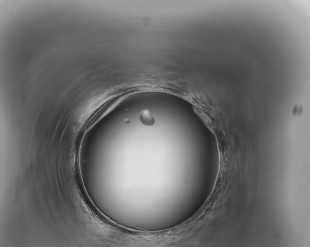 X0000089370005200706221231