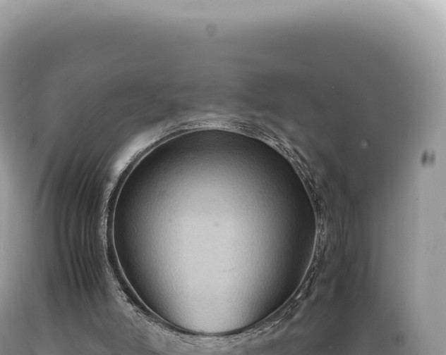 X0000089370006200706221231