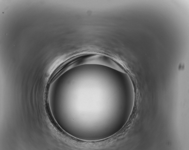 X0000089370007200706221231