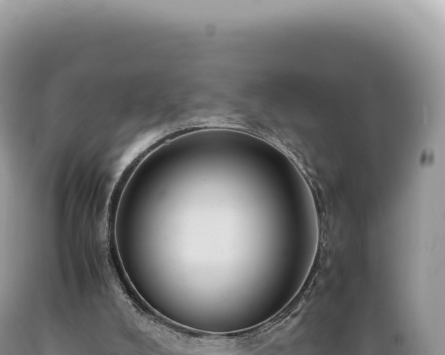 X0000089370008200706221231