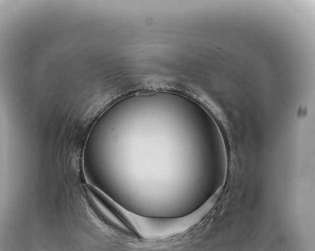 X0000089370009200706221231