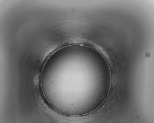 X0000089370010200706221230