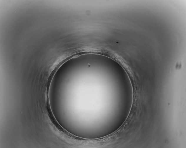 X0000089370011200706221230