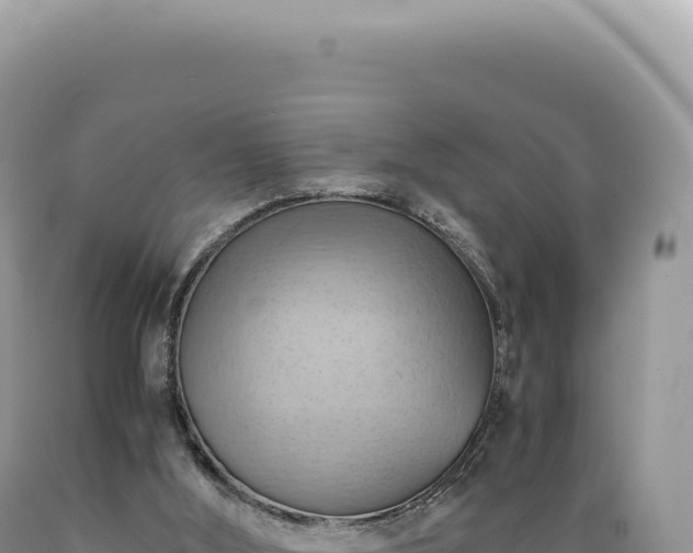 X0000089370012200706221230
